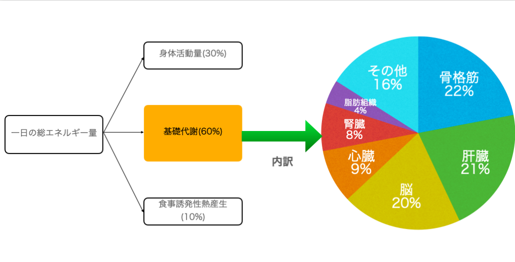 エネルギー消費の内訳