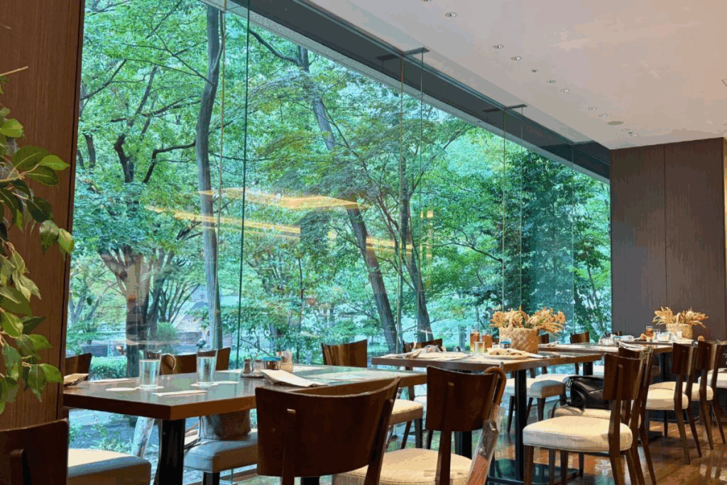 樹林(引用:食べログ)