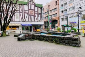 【世田谷の高級住宅街5選】成城だけじゃない…“豪邸が並ぶ街”はどこ？