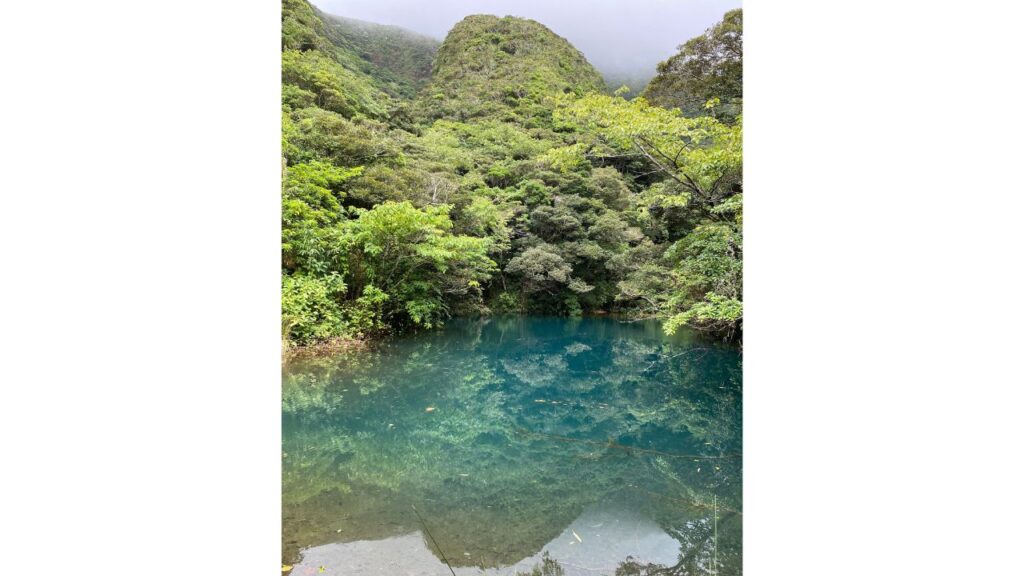 硫黄沼