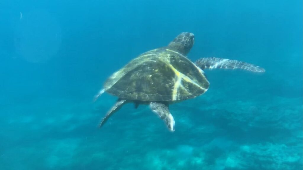 底土海水浴場