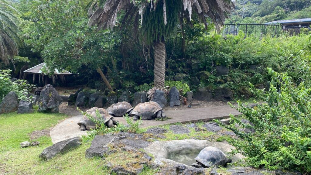 大島公園動物園