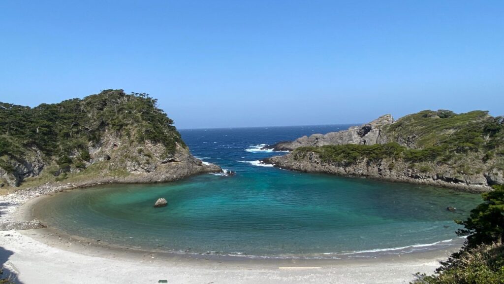 泊海水浴場の全景